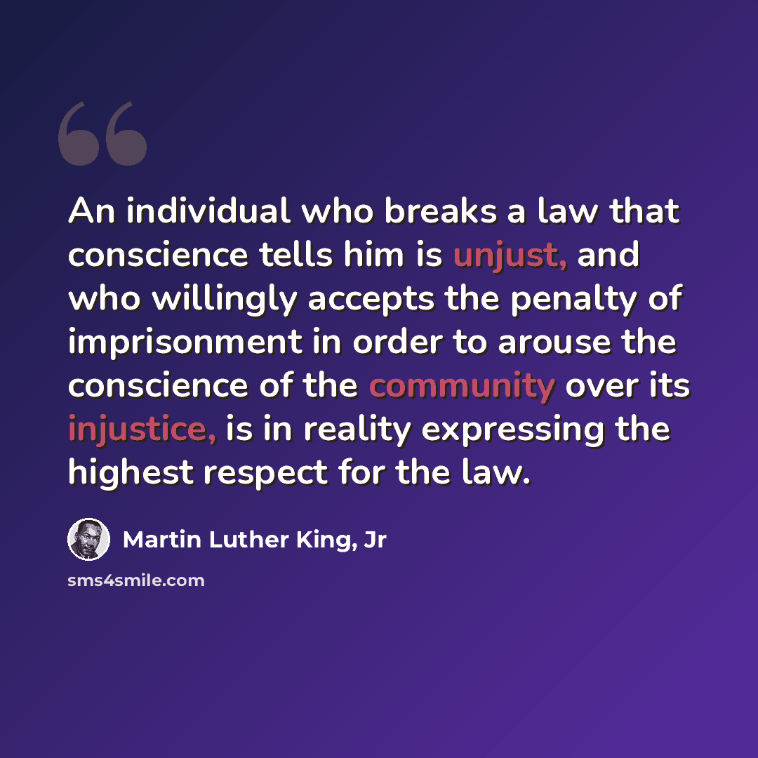 “An individual who breaks a law that conscience tells him is unjust, and who willingly accepts the penalty of imprisonment in order to arouse the conscience of the community over its injustice, is in reality expressing the highest respect for the law.” quote by Martin Luther King, Jr