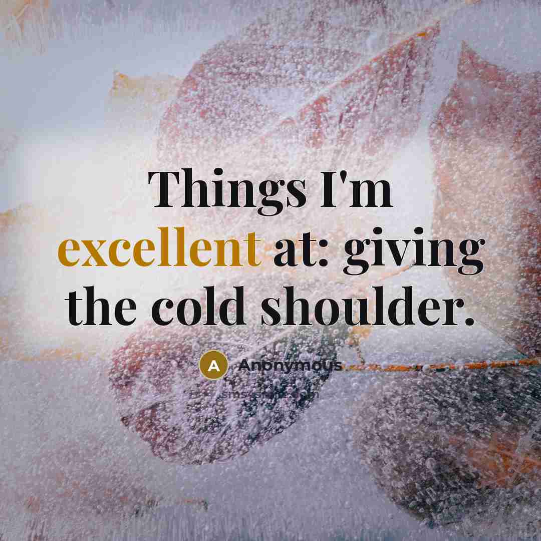 “Things I'm excellent at: giving the cold shoulder.” quote by Anonymous