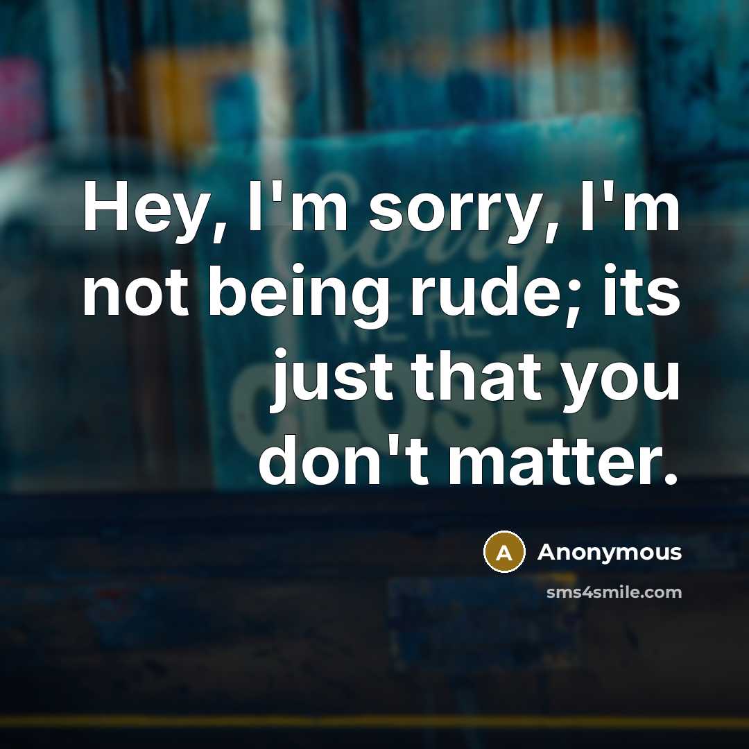 “Hey, I'm sorry, I'm not being rude; its just that you don't matter.” quote by Anonymous
