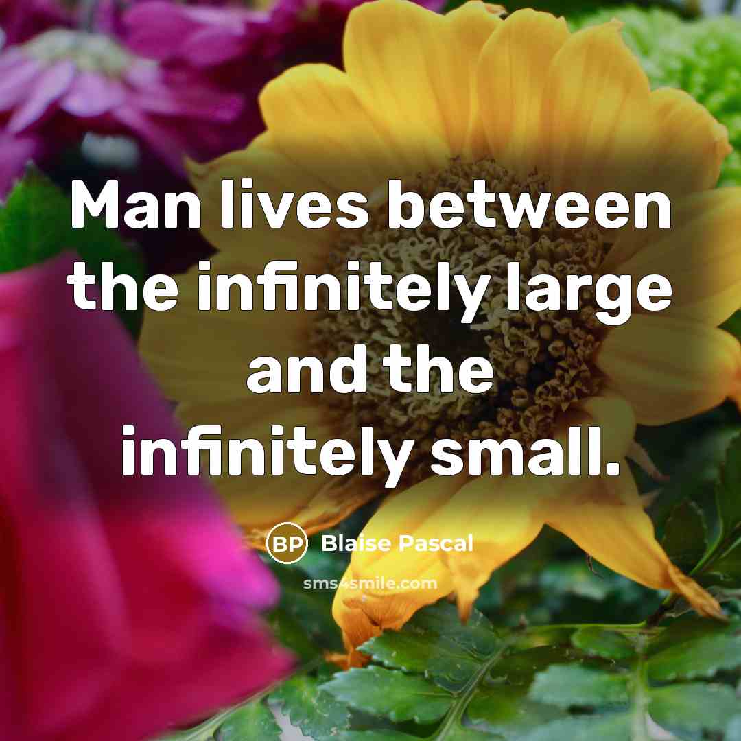 “Man lives between the infinitely large and the infinitely small.” quote by Blaise Pascal