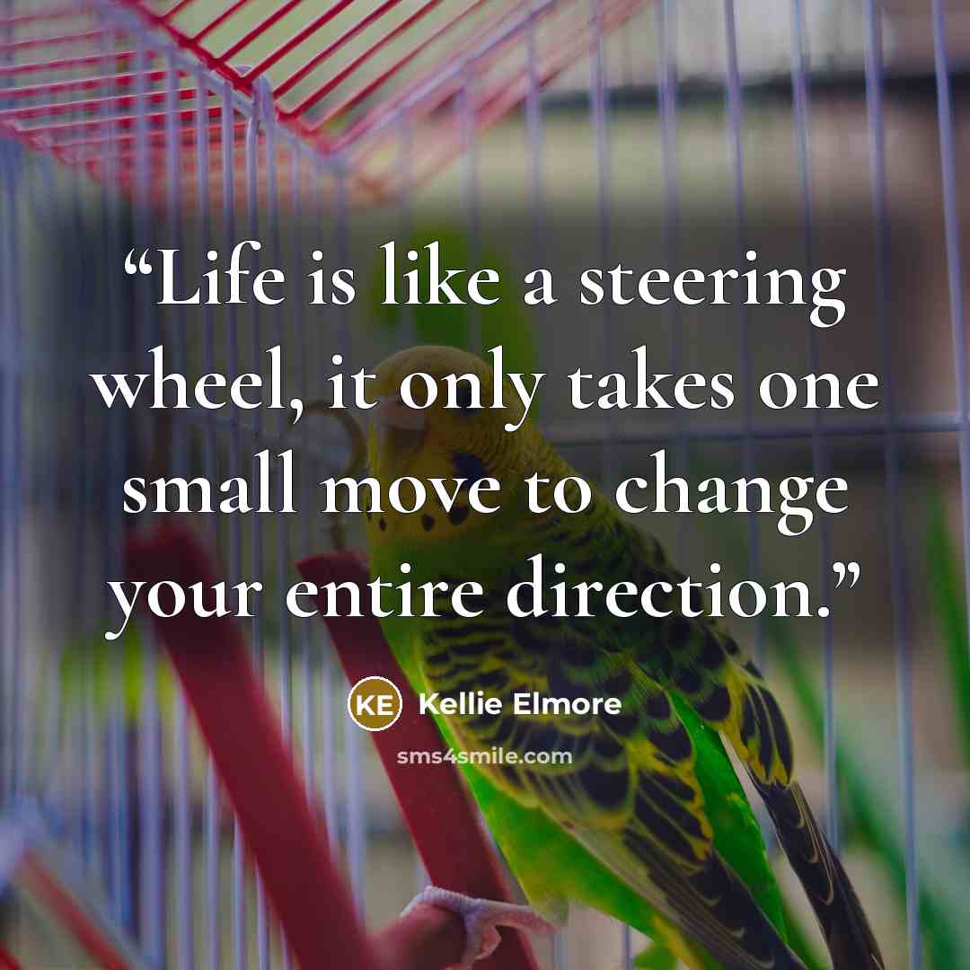“Life is like a steering wheel, it only takes one small move to change your entire direction.” quote by Kellie Elmore