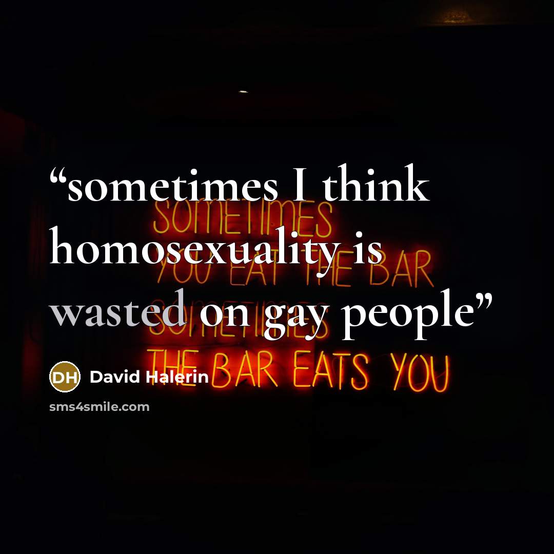 “sometimes I think homosexuality is wasted on gay people” quote by David Halerin