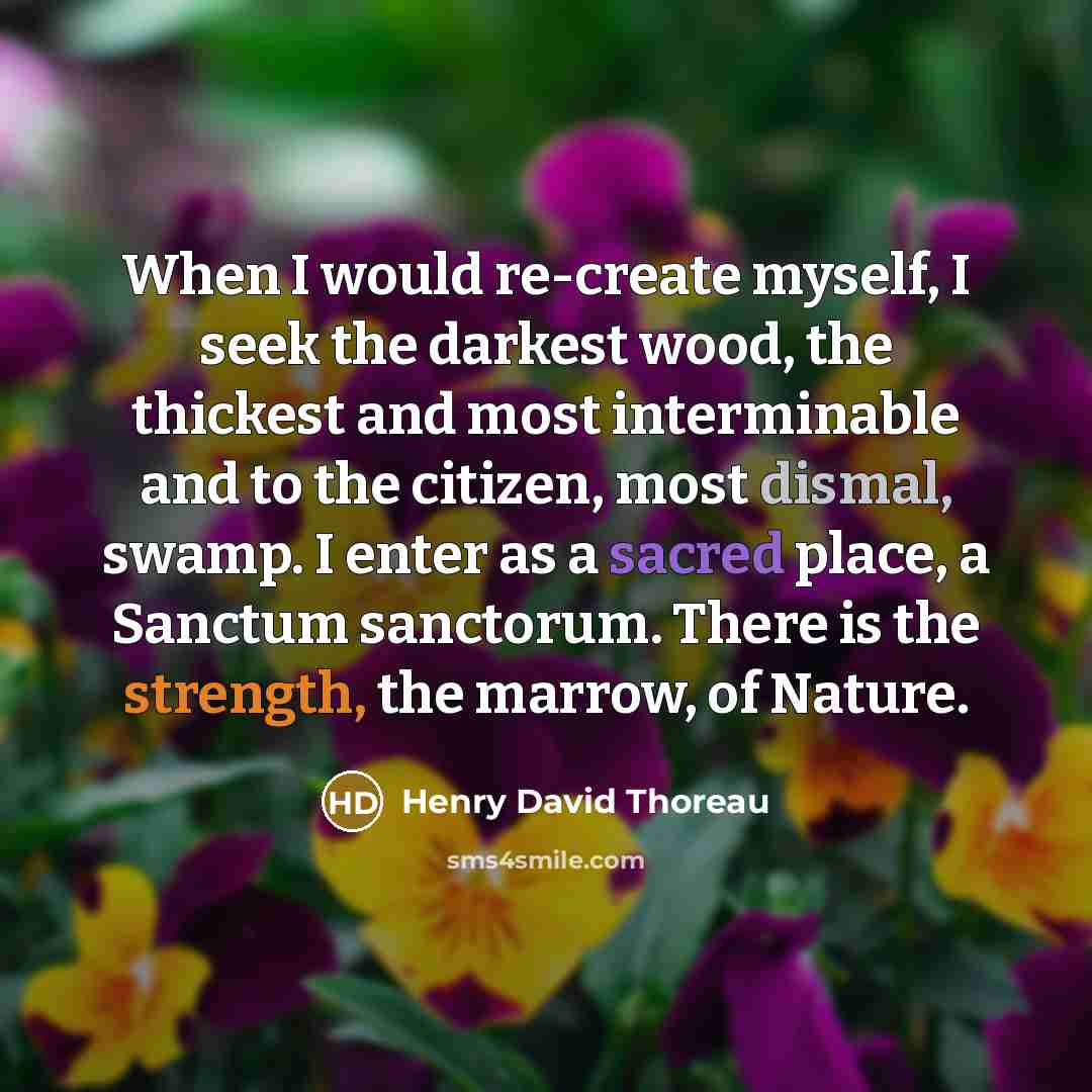 “When I would re-create myself, I seek the darkest wood, the thickest and most interminable and to the citizen, most dismal, swamp. I enter as a sacred place, a Sanctum sanctorum. There is the strength, the marrow, of Nature.” quote by Henry David Thoreau