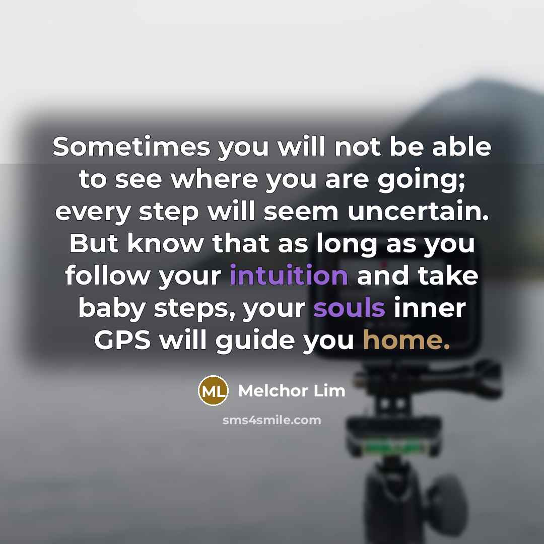 “Sometimes you will not be able to see where you are going; every step will seem uncertain. But know that as long as you follow your intuition and take baby steps, your souls inner GPS will guide you home.” quote by Melchor Lim