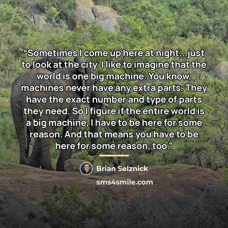 “Sometimes I come up here at night...just to look at the city. I like to imagine that the world is one big machine. You know, machines never have any extra parts. They have the exact number and type of parts they need. So I figure if the entire world is a big machine, I have to be here for some…” quote by Brian Selznick