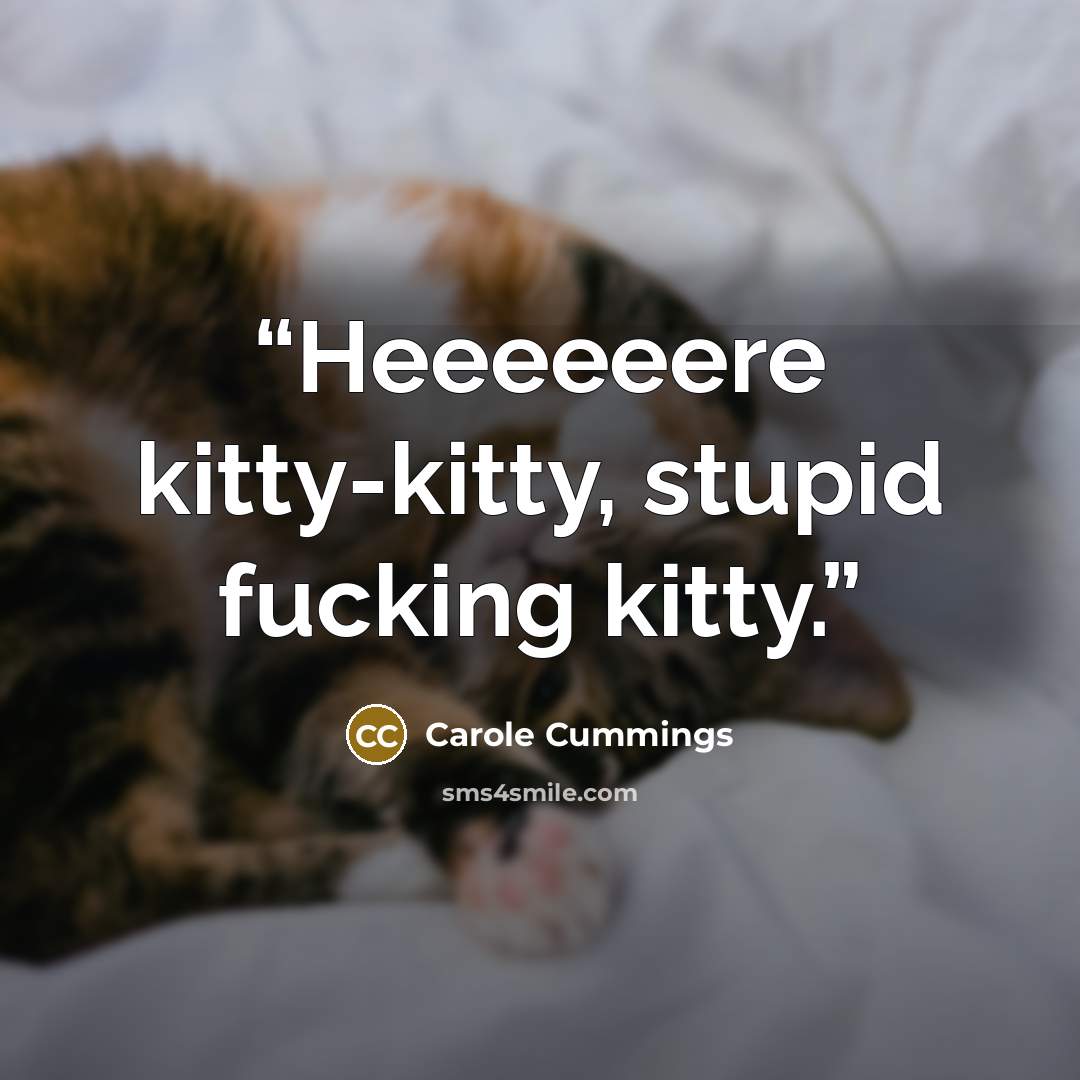 “Heeeeeere kitty-kitty, stupid fucking kitty.” quote by Carole Cummings