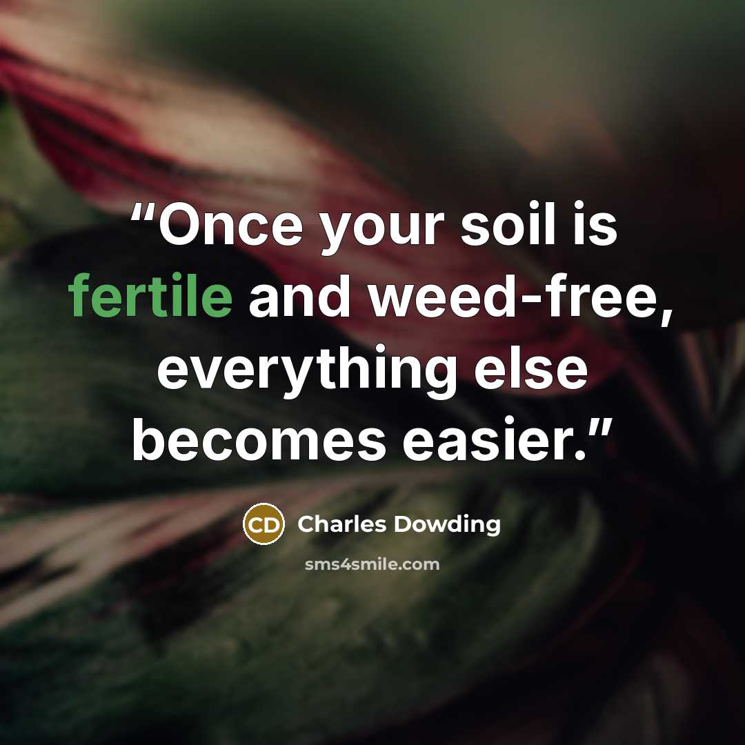 “Once your soil is fertile and weed-free, everything else becomes easier.” quote by Charles Dowding