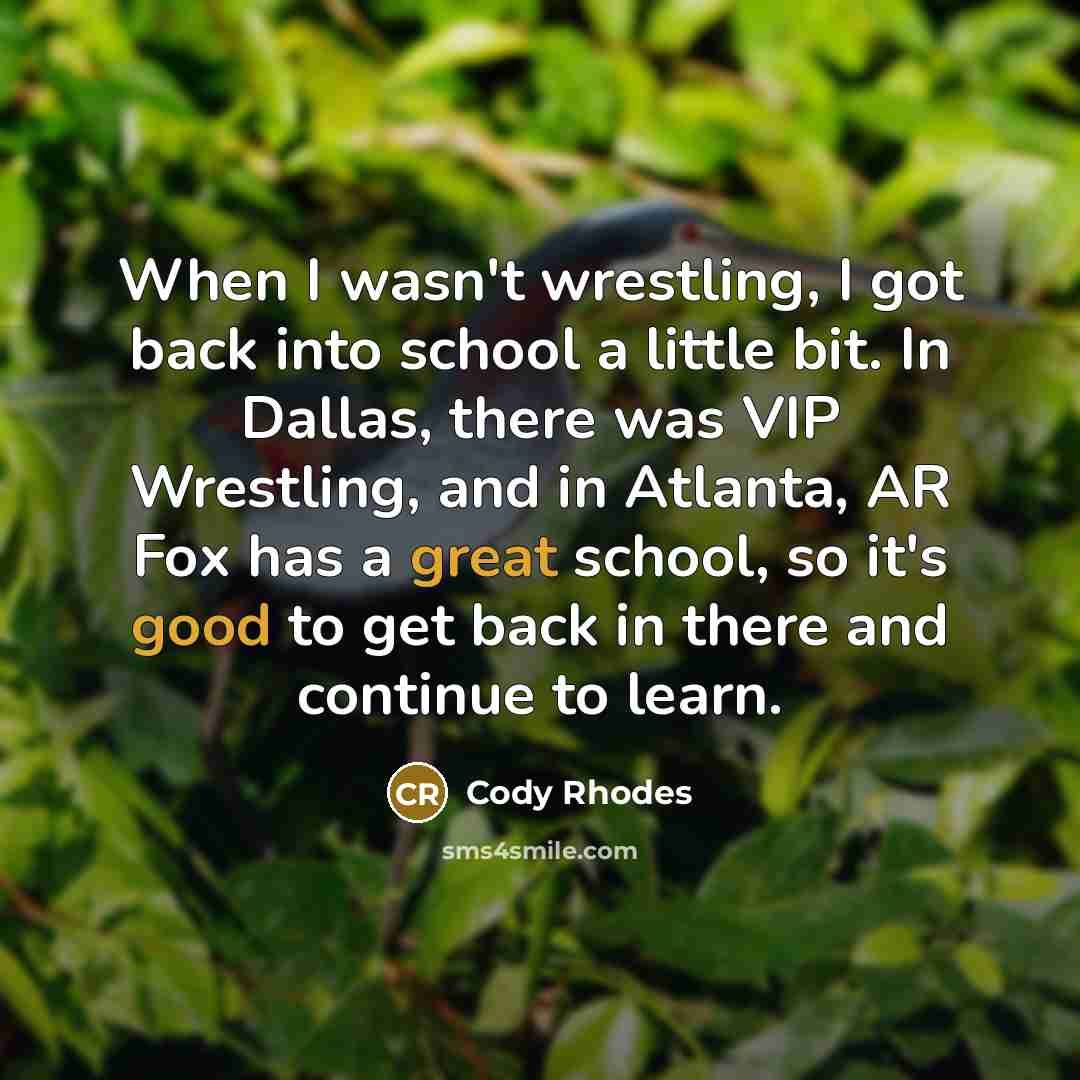 “When I wasn't wrestling, I got back into school a little bit. In Dallas, there was VIP Wrestling, and in Atlanta, AR Fox has a great school, so it's good to get back in there and continue to learn.” quote by Cody Rhodes
