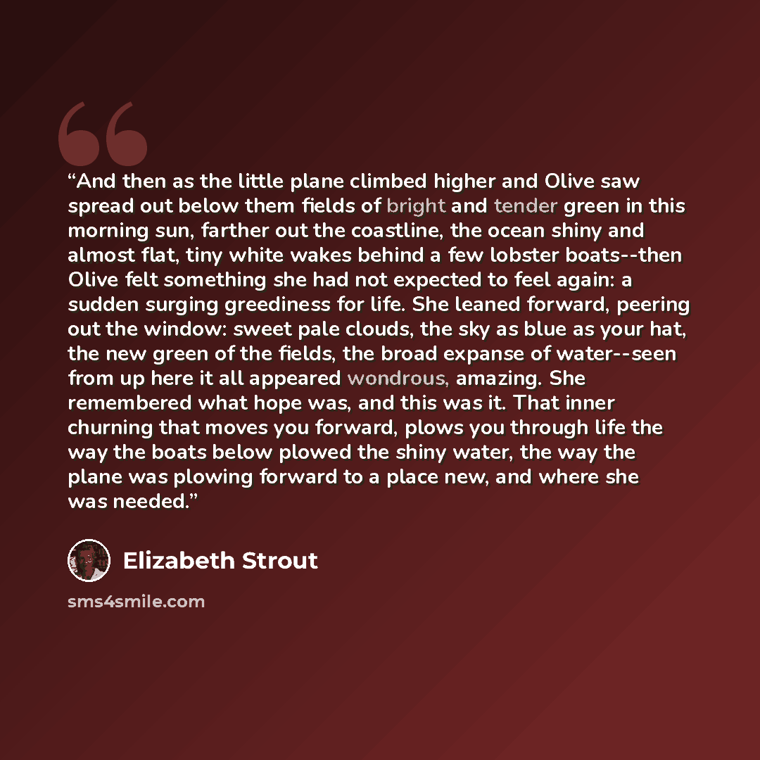 “And then as the little plane climbed higher and Olive saw spread out below them fields of bright and tender green in this morning sun, farther out the coastline, the ocean shiny and almost flat, tiny white wakes behind a few lobster boats--then Olive felt something she had not expected to feel…” quote by Elizabeth Strout