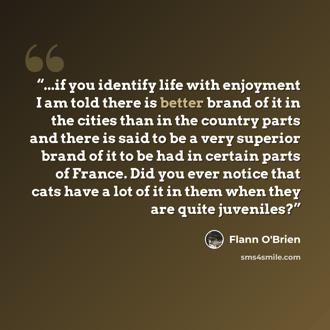 “...if you identify life with enjoyment I am told there is better brand of it in the cities than in the country parts and there is said to be a very superior brand of it to be had in certain parts of France. Did you ever notice that cats have a lot of it in them when they are quite juveniles?” quote by Flann O'Brien