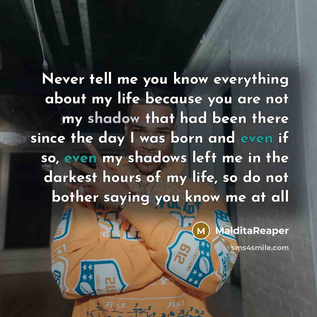 “Never tell me you know everything about my life because you are not my shadow that had been there since the day I was born and even if so, even my shadows left me in the darkest hours of my life, so do not bother saying you know me at all” quote by MalditaReaper