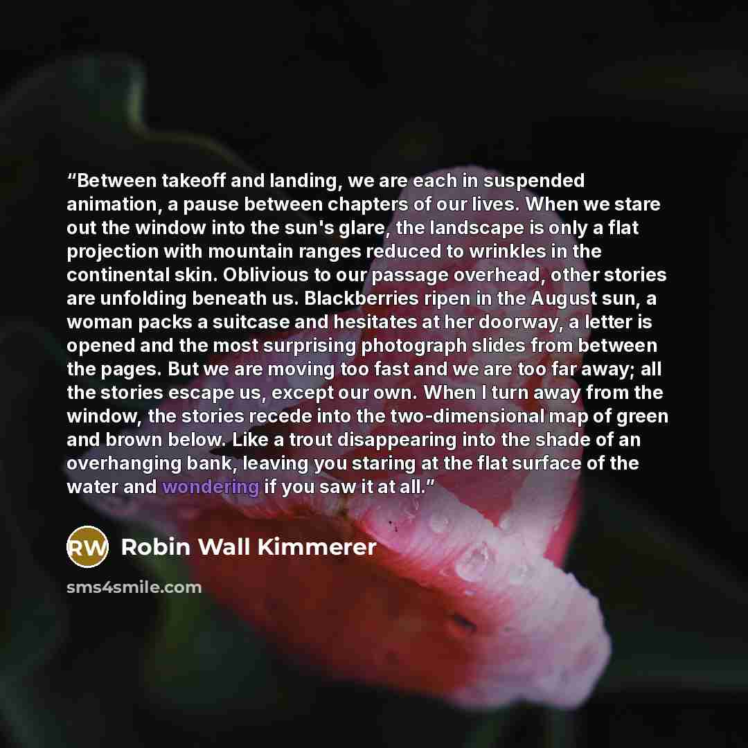 “Between takeoff and landing, we are each in suspended animation, a pause between chapters of our lives. When we stare out the window into the sun's glare, the landscape is only a flat projection with mountain ranges reduced to wrinkles in the continental skin. Oblivious to our passage overhead…” quote by Robin Wall Kimmerer