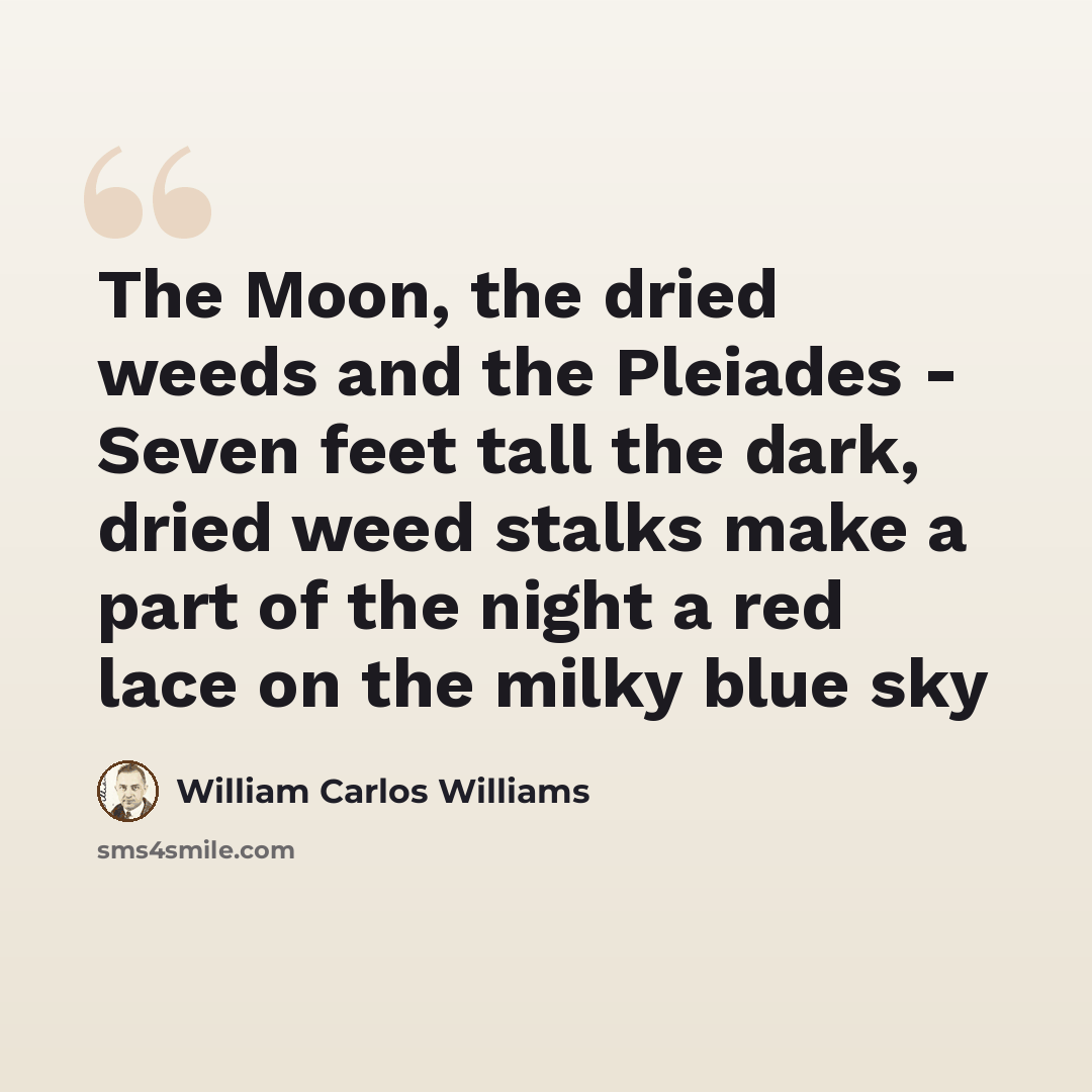 “The Moon, the dried weeds and the Pleiades - Seven feet tall the dark, dried weed stalks make a part of the night a red lace on the milky blue sky” quote by William Carlos Williams