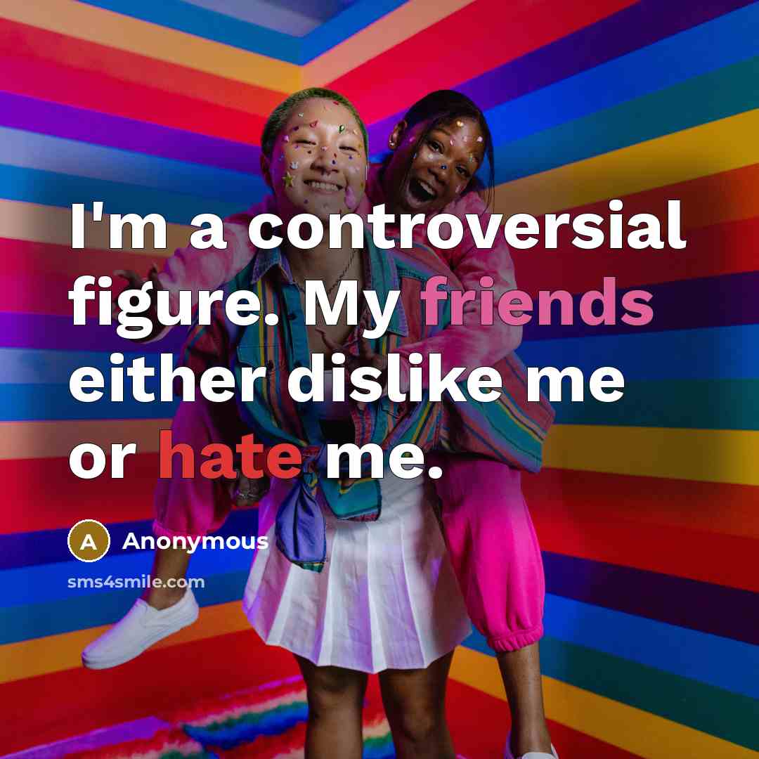 “I'm a controversial figure. My friends either dislike me or hate me.” quote by Anonymous