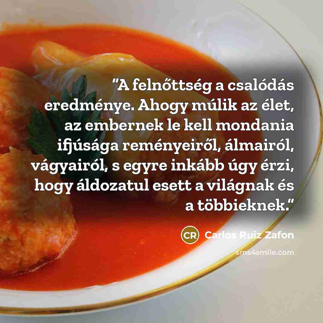 “A felnőttség a csalódás eredménye. Ahogy múlik az élet, az embernek le kell mondania ifjúsága reményeiről, álmairól, vágyairól, s egyre inkább úgy érzi, hogy áldozatul esett a világnak és a többieknek.” quote by Carlos Ruiz Zafón