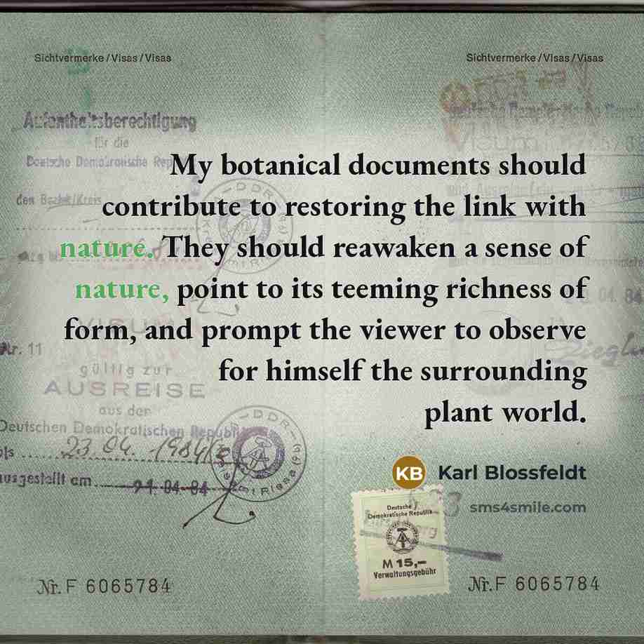 “My botanical documents should contribute to restoring the link with nature. They should reawaken a sense of nature, point to its teeming richness of form, and prompt the viewer to observe for himself the surrounding plant world.” quote by Karl Blossfeldt