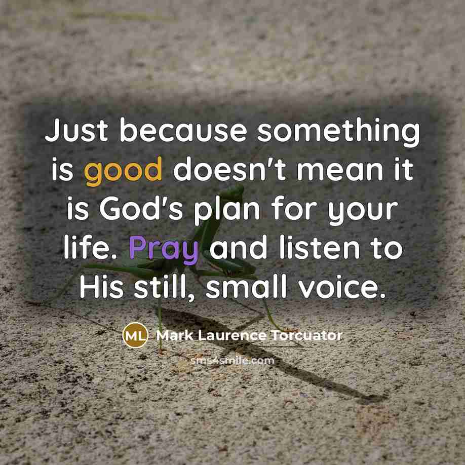 “Just because something is good doesn't mean it is God's plan for your life. Pray and listen to His still, small voice.” quote by Mark Laurence Torcuator