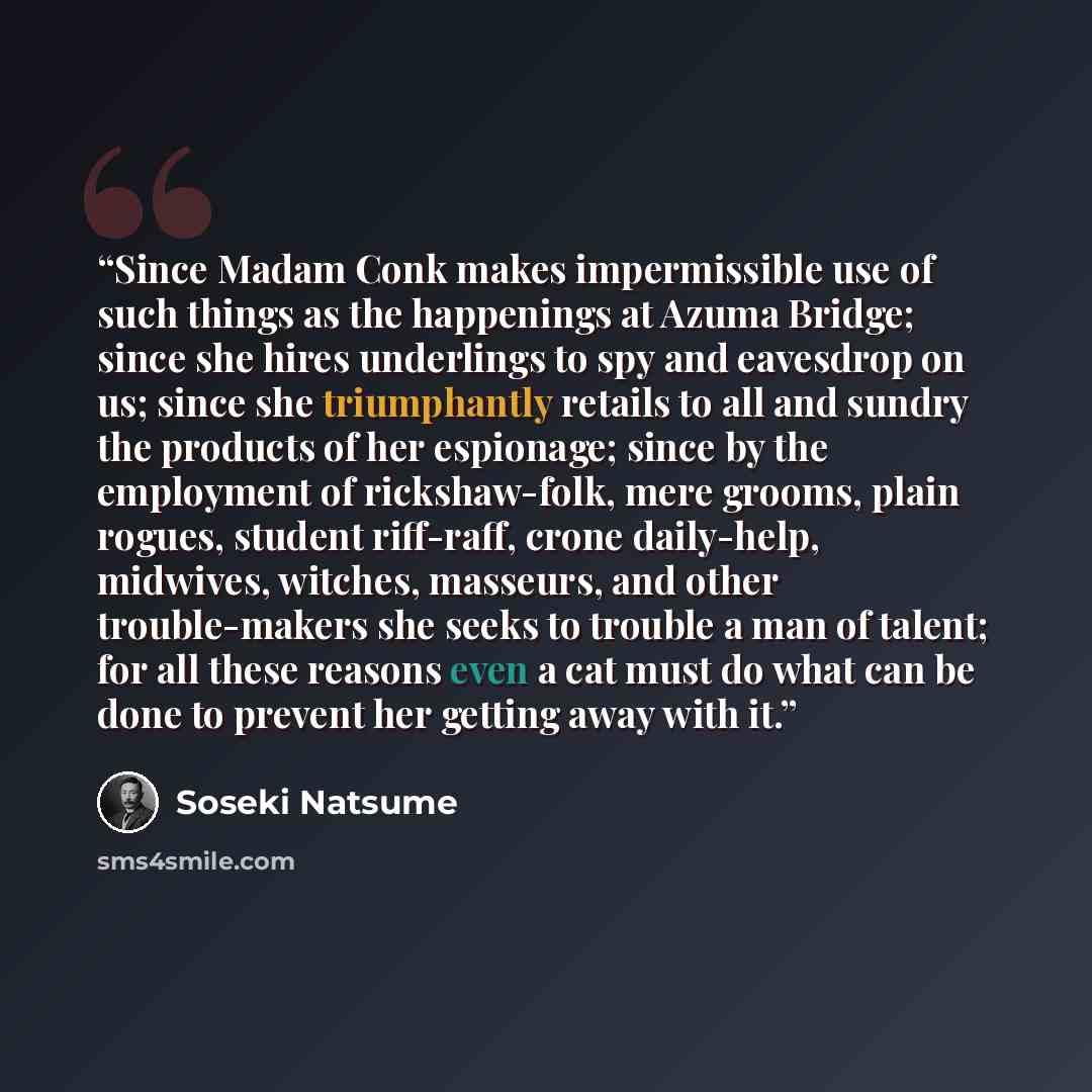 “Since Madam Conk makes impermissible use of such things as the happenings at Azuma Bridge; since she hires underlings to spy and eavesdrop on us; since she triumphantly retails to all and sundry the products of her espionage; since by the employment of rickshaw-folk, mere grooms, plain rogues…” quote by Sōseki Natsume