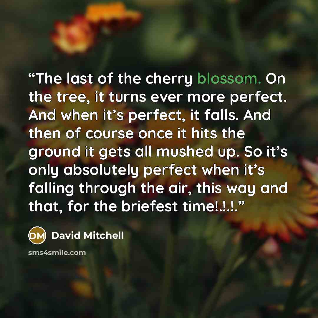 “The last of the cherry blossom. On the tree, it turns ever more perfect. And when it’s perfect, it falls. And then of course once it hits the ground it gets all mushed up. So it’s only absolutely perfect when it’s falling through the air, this way and that, for the briefest time!.!.!.” quote by David Mitchell