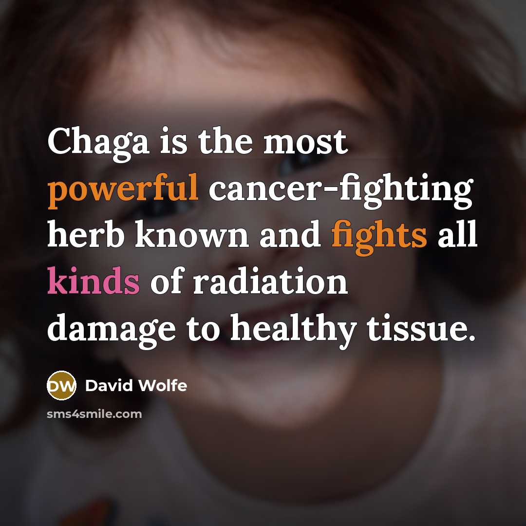 “Chaga is the most powerful cancer-fighting herb known and fights all kinds of radiation damage to healthy tissue.” quote by David Wolfe