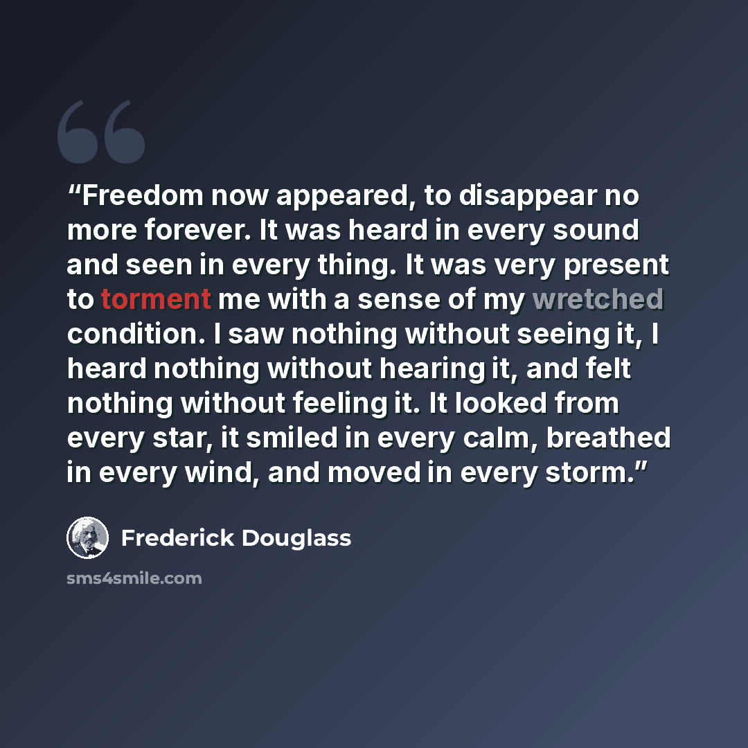 “Freedom now appeared, to disappear no more forever. It was heard in every sound and seen in every thing. It was very present to torment me with a sense of my wretched condition. I saw nothing without seeing it, I heard nothing without hearing it, and felt nothing without feeling it. It looked from…” quote by Frederick Douglass
