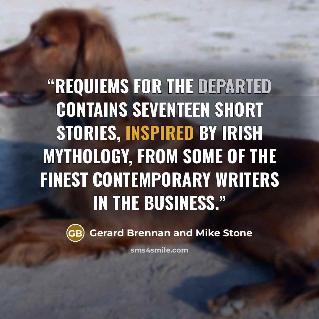 “Requiems for the Departed contains seventeen short stories, inspired by Irish mythology, from some of the finest contemporary writers in the business.” quote by Gerard Brennan and Mike Stone