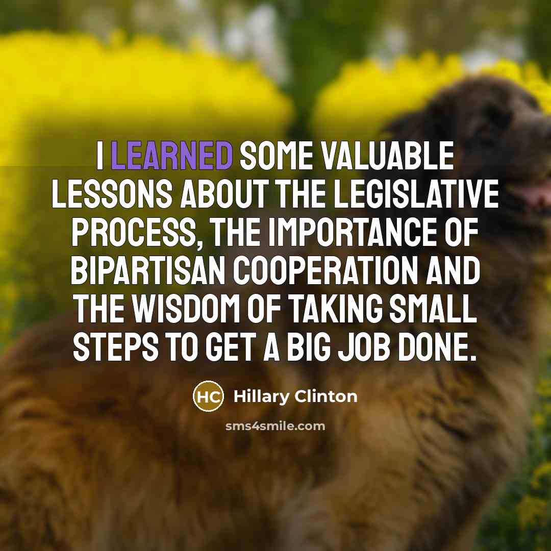 “I learned some valuable lessons about the legislative process, the importance of bipartisan cooperation and the wisdom of taking small steps to get a big job done.” quote by Hillary Clinton