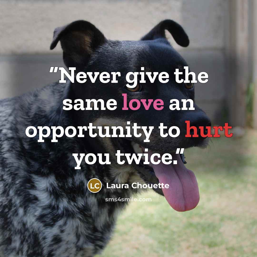 “Never give the same love an opportunity to hurt you twice.” quote by Laura Chouette