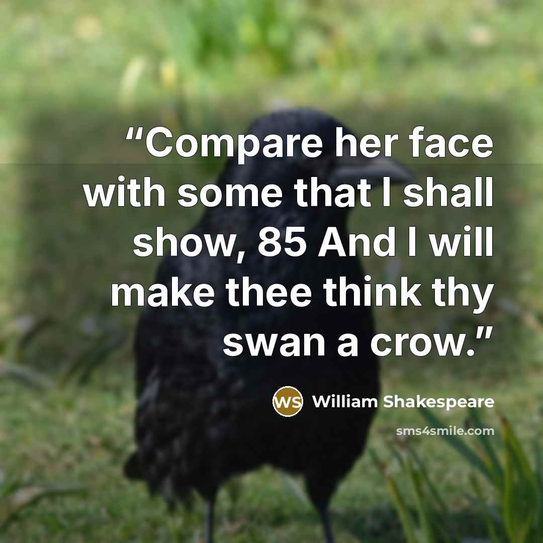 “Compare her face with some that I shall show, 85 And I will make thee think thy swan a crow.” quote by William Shakespeare