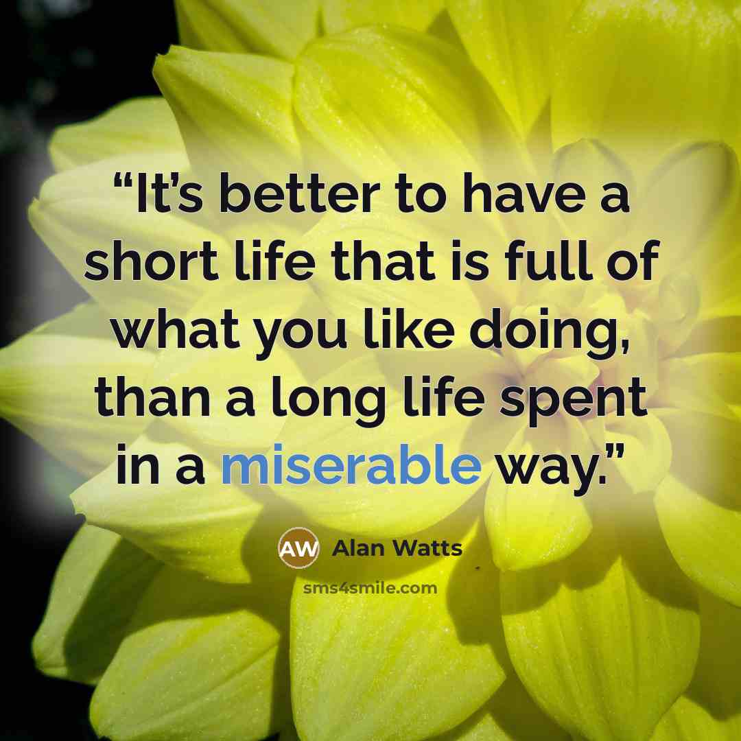 “It’s better to have a short life that is full of what you like doing, than a long life spent in a miserable way.” quote by Alan Watts