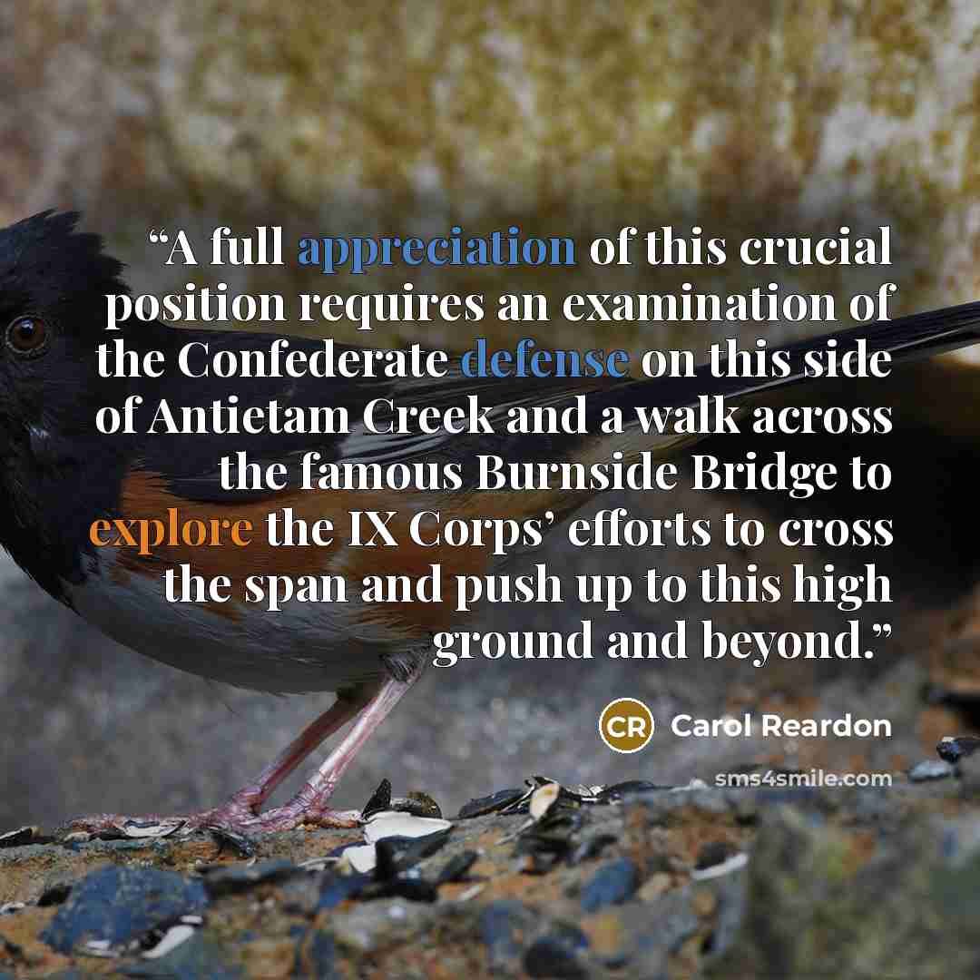 “A full appreciation of this crucial position requires an examination of the Confederate defense on this side of Antietam Creek and a walk across the famous Burnside Bridge to explore the IX Corps’ efforts to cross the span and push up to this high ground and beyond.” quote by Carol Reardon