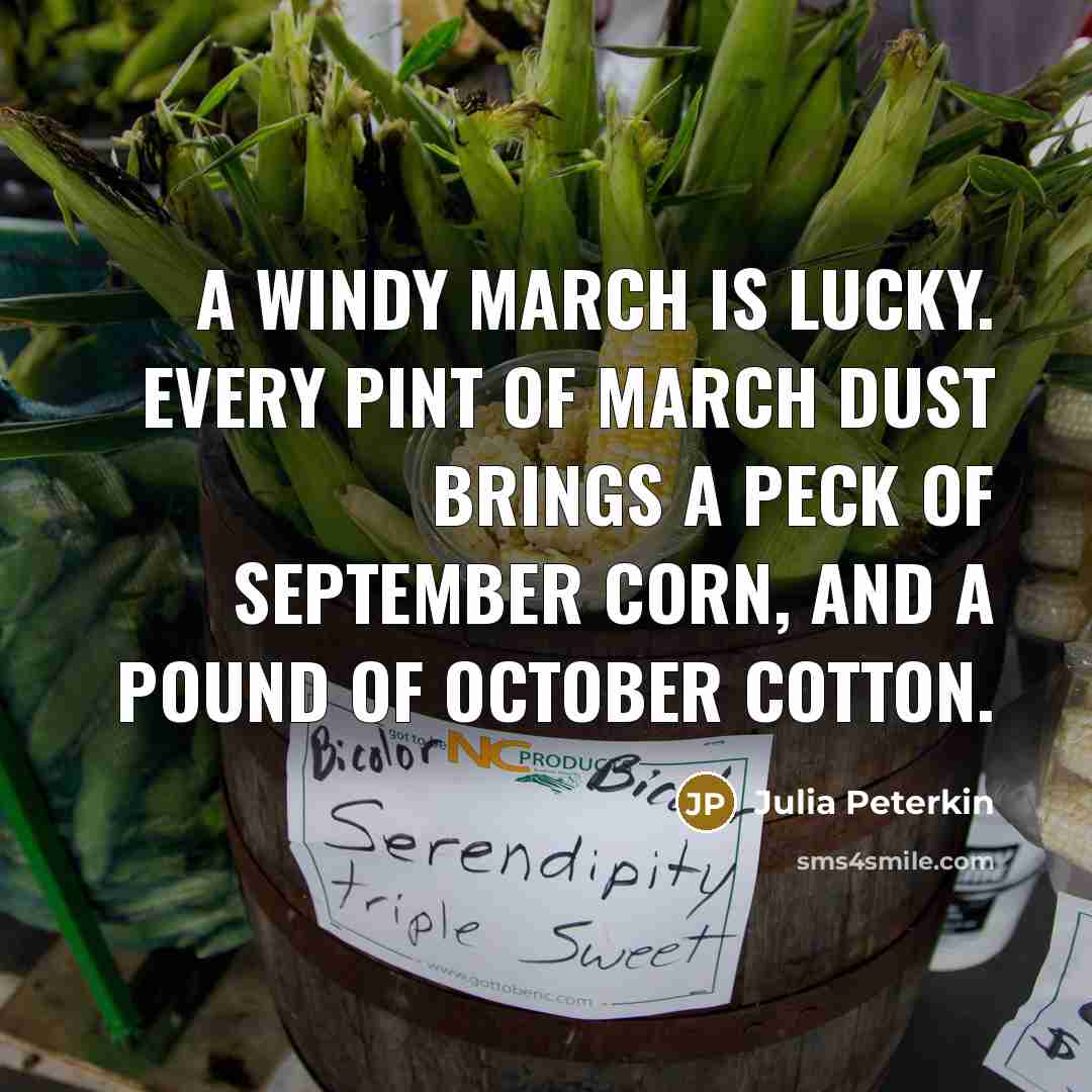 “a windy March is lucky. Every pint of March dust brings a peck of September corn, and a pound of October cotton.” quote by Julia Peterkin