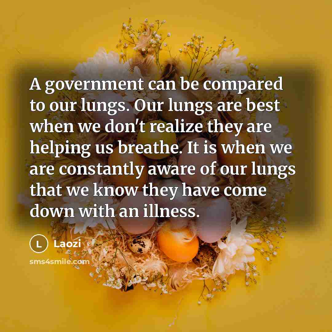 “A government can be compared to our lungs. Our lungs are best when we don't realize they are helping us breathe. It is when we are constantly aware of our lungs that we know they have come down with an illness.” quote by Laozi