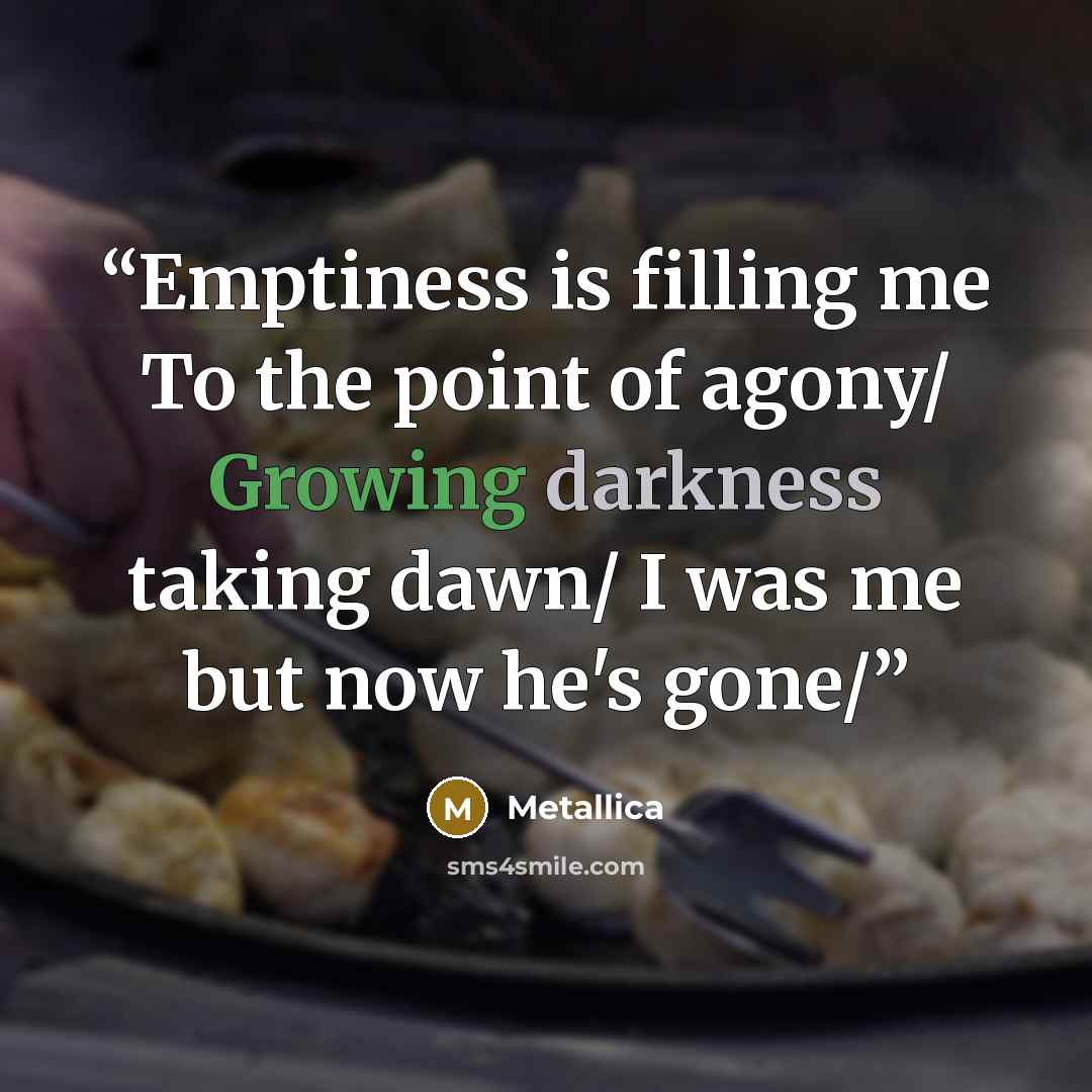 “Emptiness is filling me To the point of agony/ Growing darkness taking dawn/ I was me but now he's gone/” quote by Metallica