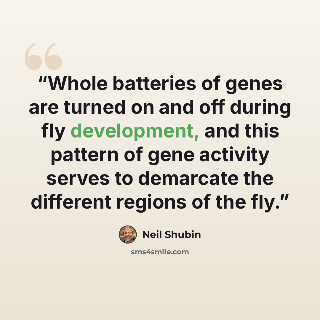 “Whole batteries of genes are turned on and off during fly development, and this pattern of gene activity serves to demarcate the different regions of the fly.” quote by Neil Shubin