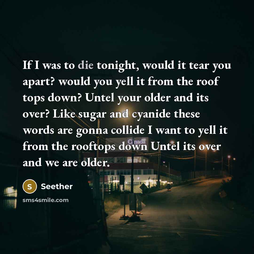 “If I was to die tonight, would it tear you apart? would you yell it from the roof tops down? Untel your older and its over? Like sugar and cyanide these words are gonna collide I want to yell it from the rooftops down Untel its over and we are older.” quote by Seether