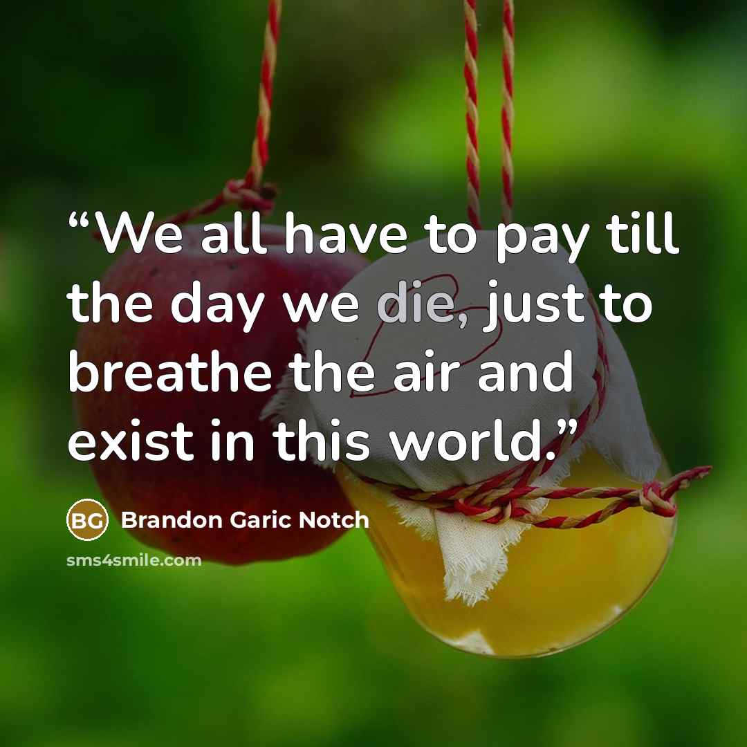 “We all have to pay till the day we die, just to breathe the air and exist in this world.” quote by Brandon Garic Notch