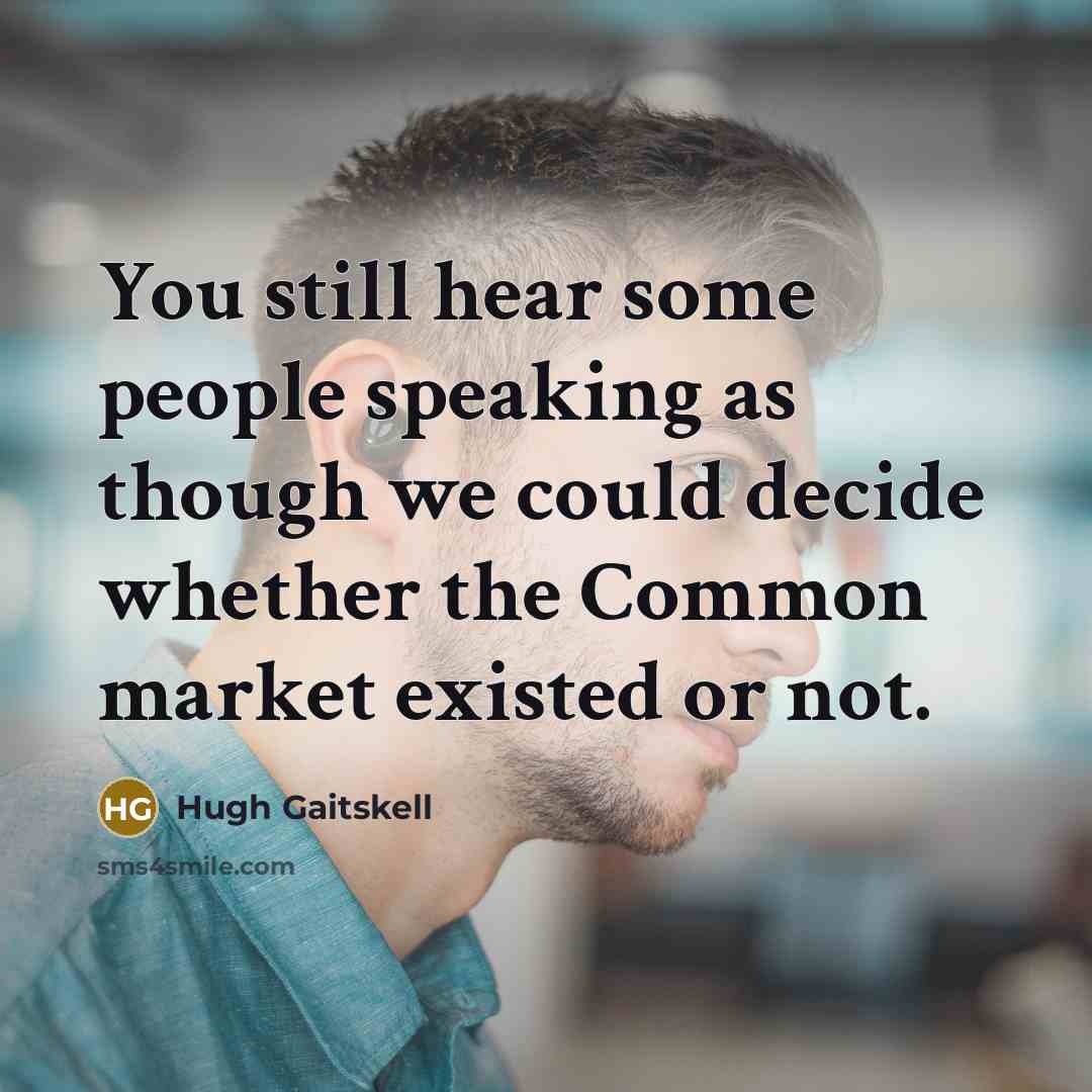 “You still hear some people speaking as though we could decide whether the Common market existed or not.” quote by Hugh Gaitskell