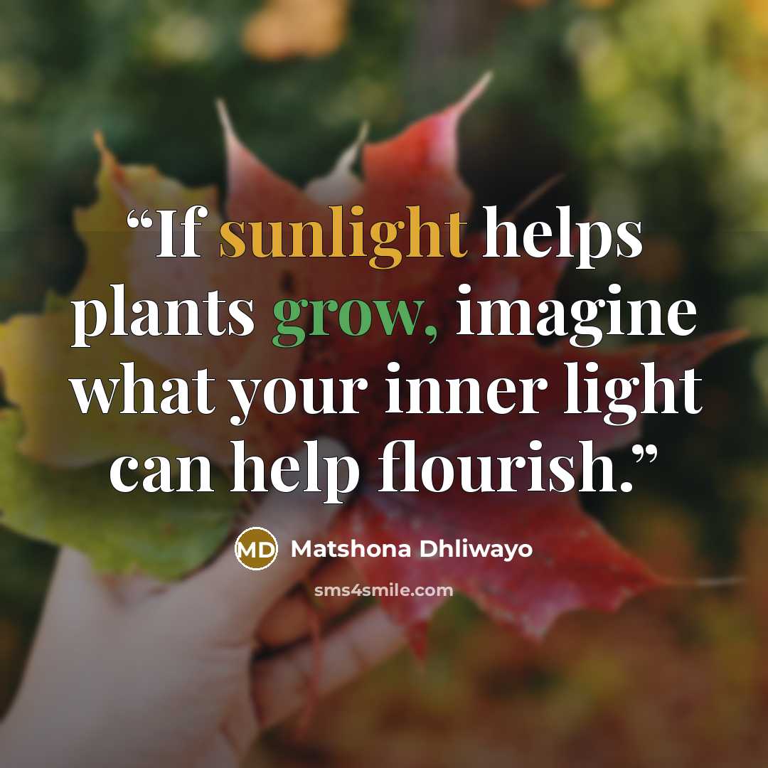 “If sunlight helps plants grow, imagine what your inner light can help flourish.” quote by Matshona Dhliwayo