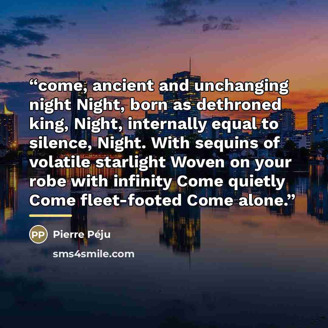 “come, ancient and unchanging night Night, born as dethroned king, Night, internally equal to silence, Night. With sequins of volatile starlight Woven on your robe with infinity Come quietly Come fleet-footed Come alone.” quote by Pierre Péju
