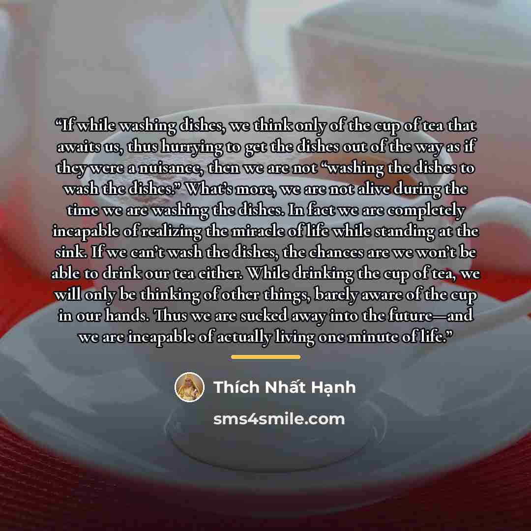 “If while washing dishes, we think only of the cup of tea that awaits us, thus hurrying to get the dishes out of the way as if they were a nuisance, then we are not “washing the dishes to wash the dishes.” What’s more, we are not alive during the time we are washing the dishes. In fact we are…” quote by Thich Nhat Hanh