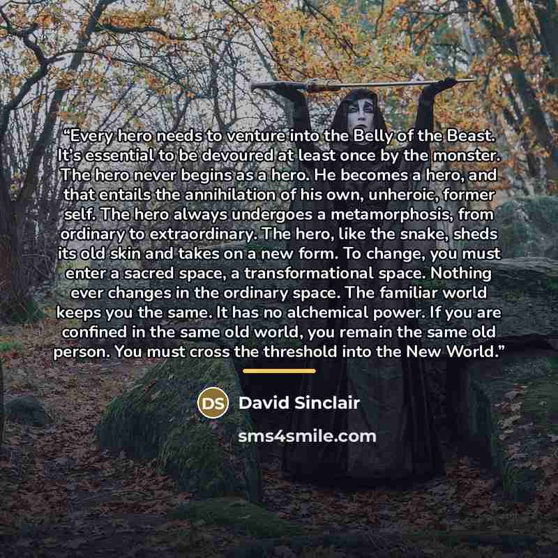 “Every hero needs to venture into the Belly of the Beast. It’s essential to be devoured at least once by the monster. The hero never begins as a hero. He becomes a hero, and that entails the annihilation of his own, unheroic, former self. The hero always undergoes a metamorphosis, from ordinary to…” quote by David Sinclair
