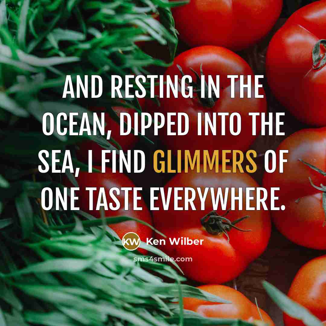 “And resting in the ocean, dipped into the sea, I find glimmers of One Taste everywhere.” quote by Ken Wilber