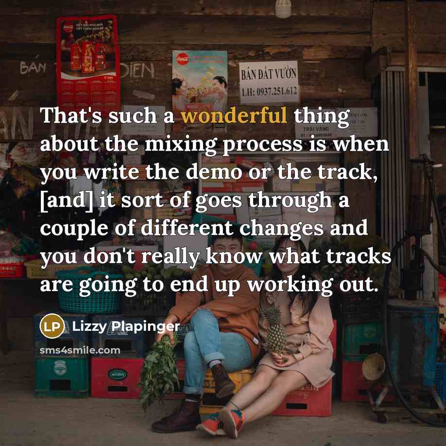 “That's such a wonderful thing about the mixing process is when you write the demo or the track, [and] it sort of goes through a couple of different changes and you don't really know what tracks are going to end up working out.” quote by Lizzy Plapinger