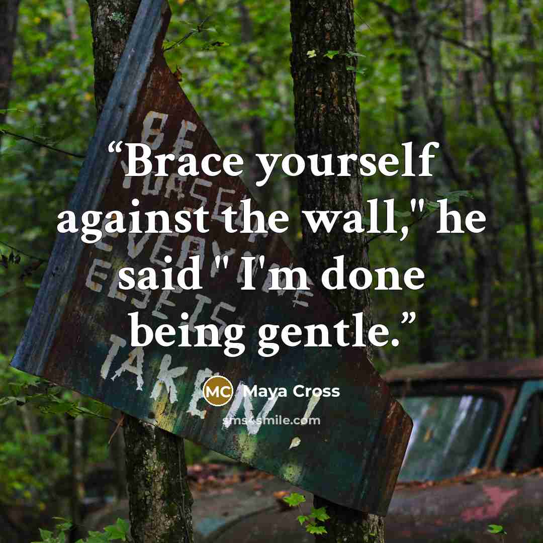 “Brace yourself against the wall," he said " I'm done being gentle.” quote by Maya Cross
