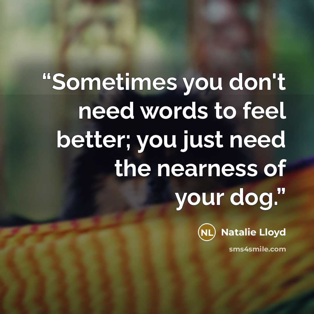 “Sometimes you don't need words to feel better; you just need the nearness of your dog.” quote by Natalie Lloyd
