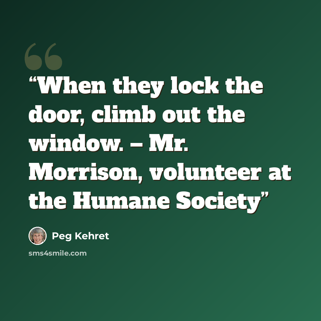 “When they lock the door, climb out the window. – Mr. Morrison, volunteer at the Humane Society” quote by Peg Kehret