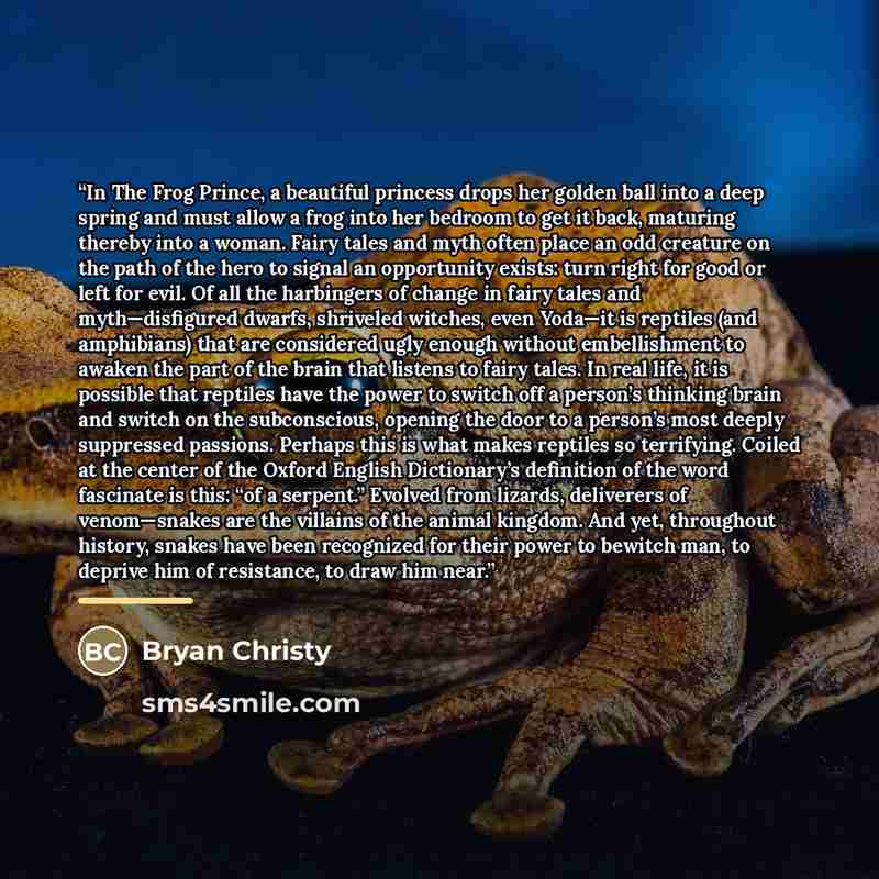 “In The Frog Prince, a beautiful princess drops her golden ball into a deep spring and must allow a frog into her bedroom to get it back, maturing thereby into a woman. Fairy tales and myth often place an odd creature on the path of the hero to signal an opportunity exists: turn right for good or…” quote by Bryan Christy