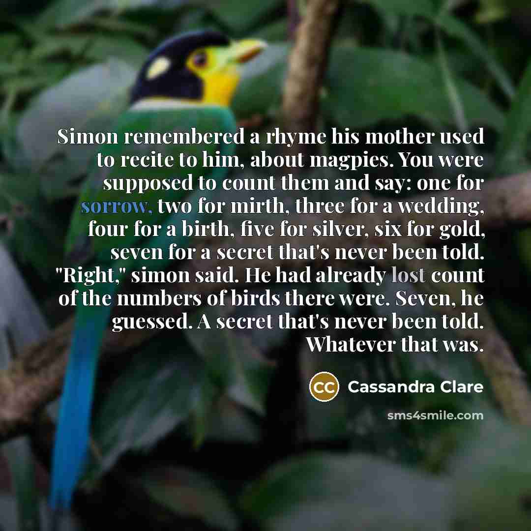 “Simon remembered a rhyme his mother used to recite to him, about magpies. You were supposed to count them and say: one for sorrow, two for mirth, three for a wedding, four for a birth, five for silver, six for gold, seven for a secret that's never been told. "Right," simon said. He had already…” quote by Cassandra Clare