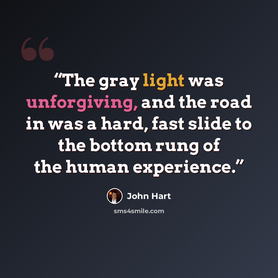 “The gray light was unforgiving, and the road in was a hard, fast slide to the bottom rung of the human experience.” quote by John Hart